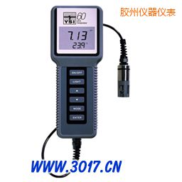 膠州酸度、溫度測量儀