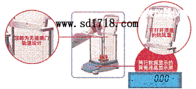 �����P(gu��n)���M(j��n)����ƽ,51g,0.001g