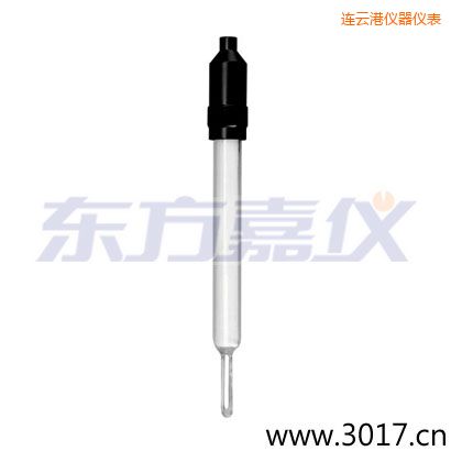 連云港玻璃外殼無溫補(bǔ)兩線電導(dǎo)率電極