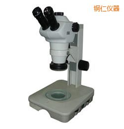 �~�ʕr(sh��)���wҕ�@΢�R