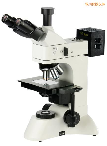 �y��͸��������@΢�R