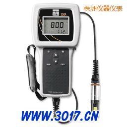 株洲便攜式溶解氧測(cè)量?jī)x